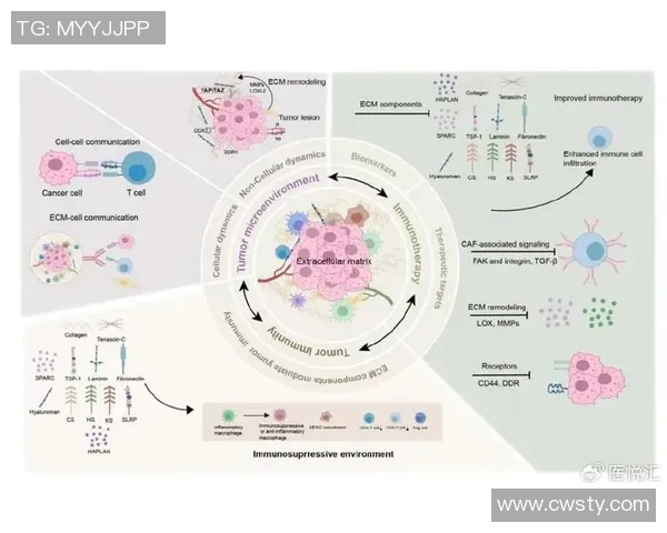 足球团队协作实力权威发布揭示各队竞争力新格局