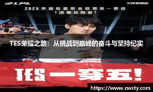 TES荣耀之路：从挑战到巅峰的奋斗与坚持纪实