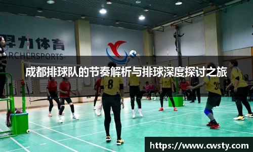 成都排球队的节奏解析与排球深度探讨之旅
