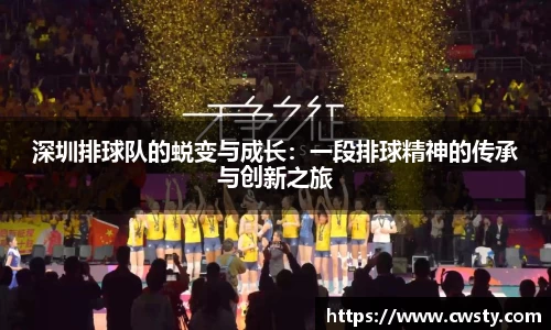 深圳排球队的蜕变与成长：一段排球精神的传承与创新之旅