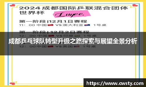 成都乒乓球队转型升级之路探索与展望全景分析